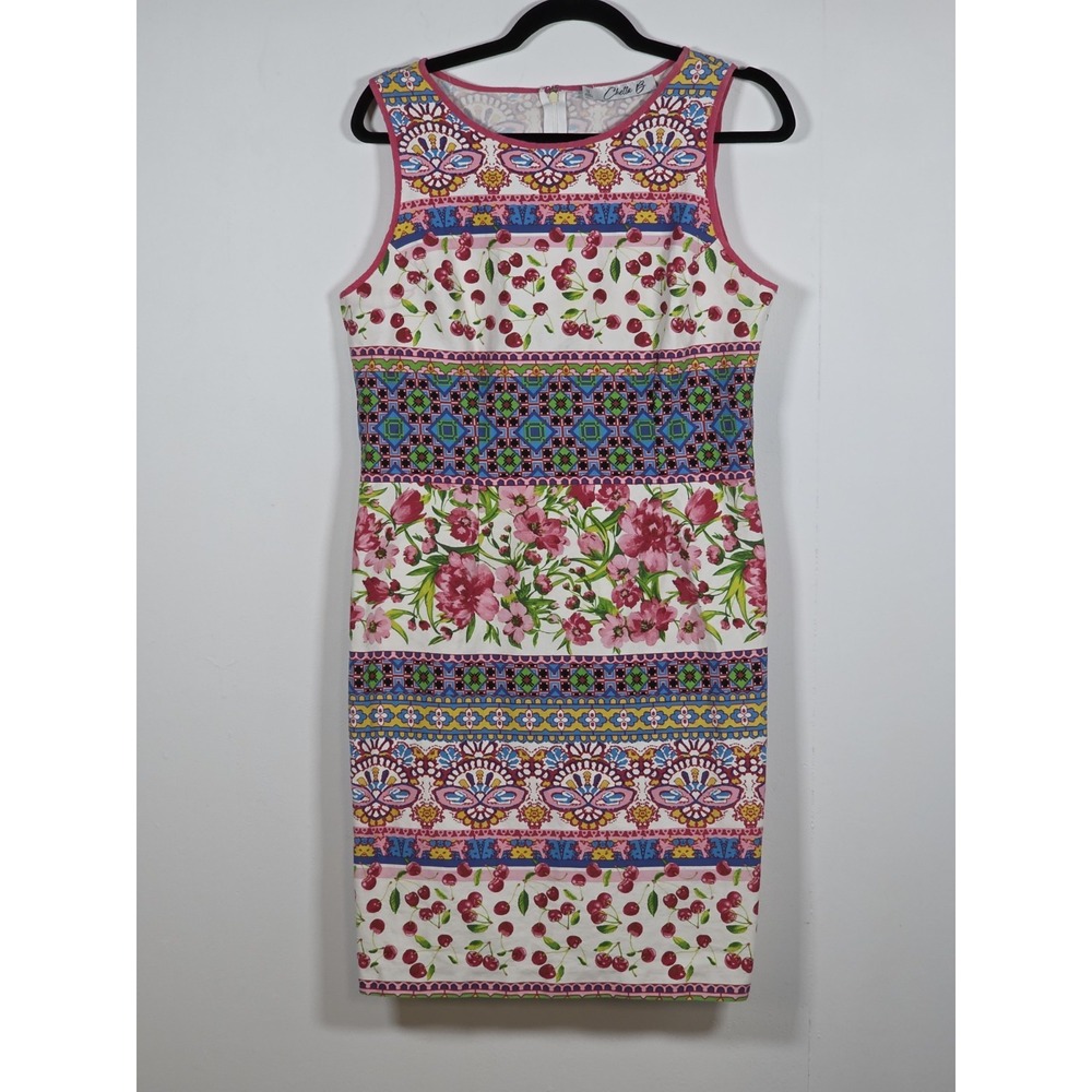 Chetta B Women 12 Dress Cherry Floral Sleeveless A Line Knee Length Party